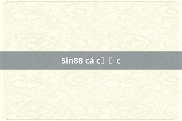 Sin88 cá cược