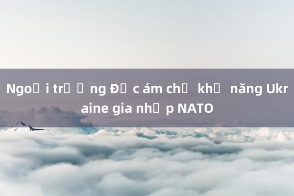 Ngoại trưởng Đức ám chỉ khả năng Ukraine gia nhập NATO