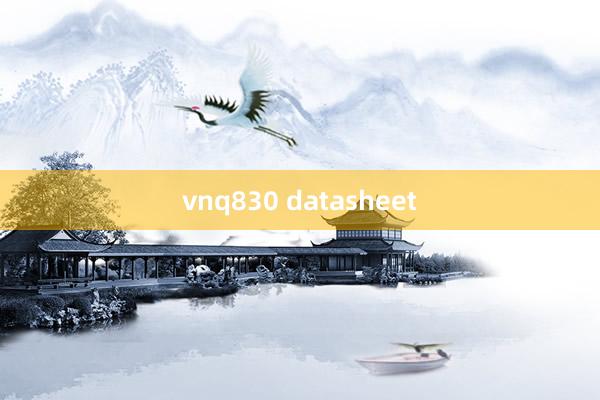 vnq830 datasheet