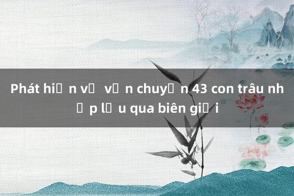 Phát hiện vụ vận chuyển 43 con trâu nhập lậu qua biên giới