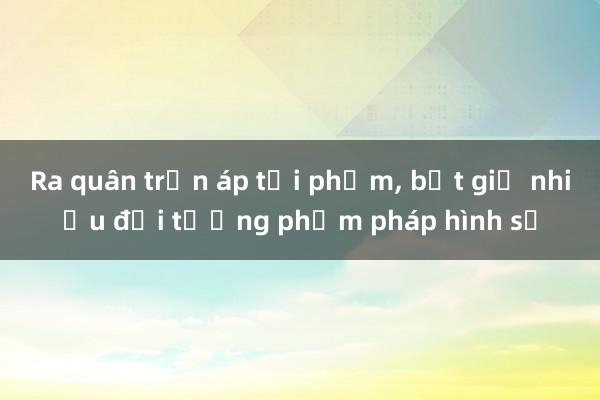 Ra quân trấn áp tội phạm， bắt giữ nhiều đối tượng phạm pháp hình sự