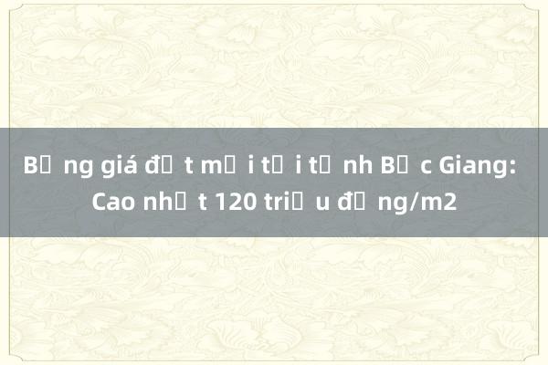 Bảng giá đất mới tại tỉnh Bắc Giang: Cao nhất 120 triệu đồng/m2