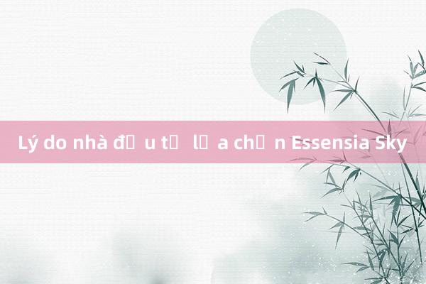 Lý do nhà đầu tư lựa chọn Essensia Sky