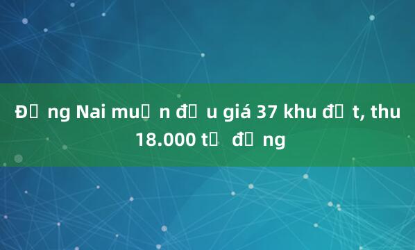 Đồng Nai muốn đấu giá 37 khu đất， thu 18.000 tỷ đồng