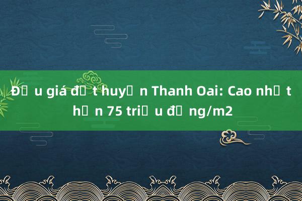 Đấu giá đất huyện Thanh Oai: Cao nhất hơn 75 triệu đồng/m2