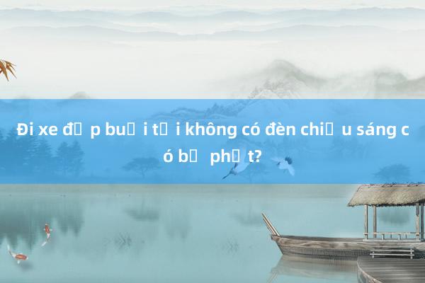 Đi xe đạp buổi tối không có đèn chiếu sáng có bị phạt?